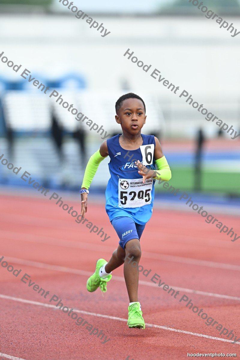 Bib 5295