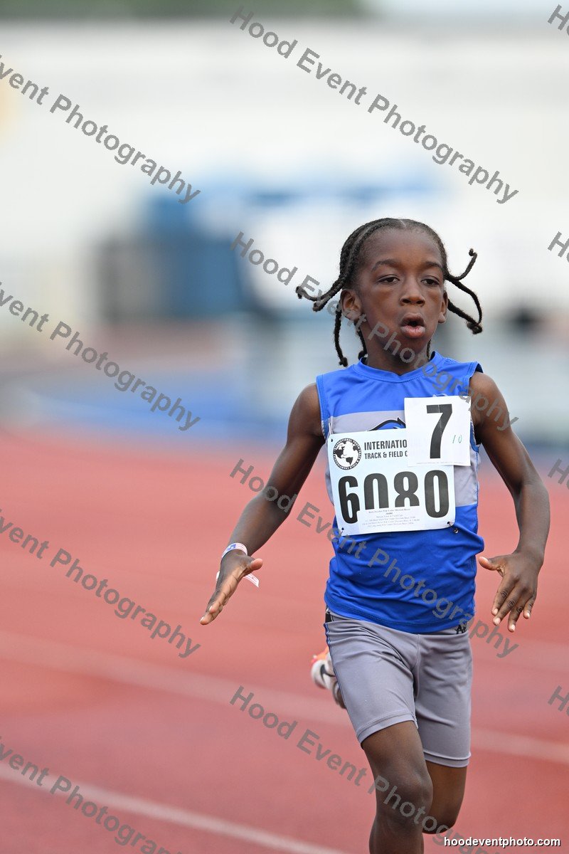 Bib 6080