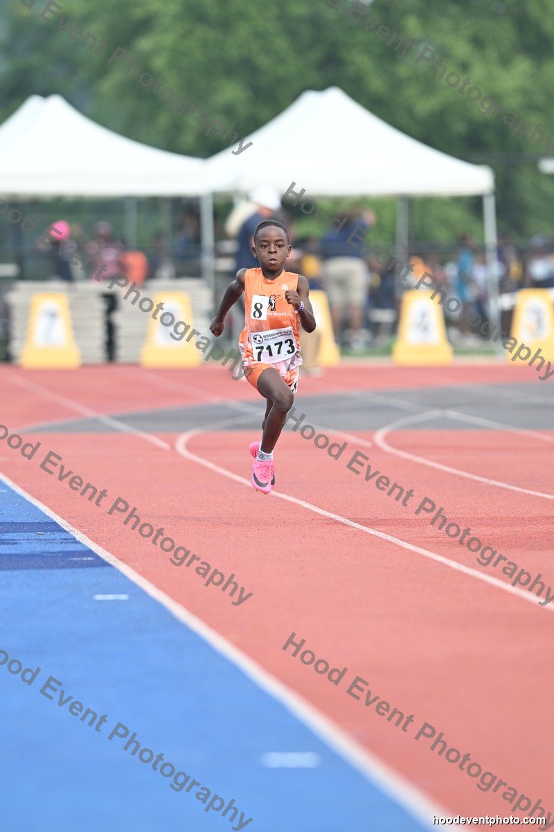 Bib 7173