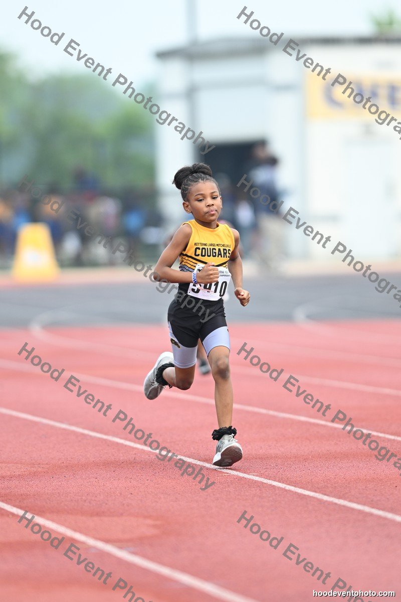 Bib 5910